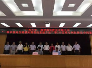 南寧市科技成果轉(zhuǎn)化對接活動成果斐然 科技中介服務(wù)成關(guān)鍵助推器